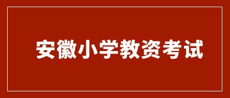 安徽小學(xué)數(shù)學(xué)教資要考什么科目？